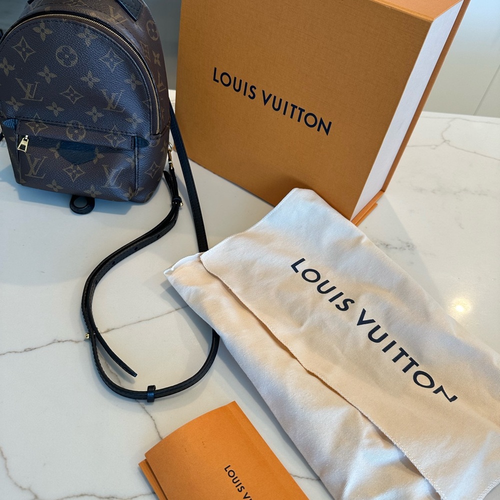 Louis Vuitton Palm Springs, mini monogram backpack